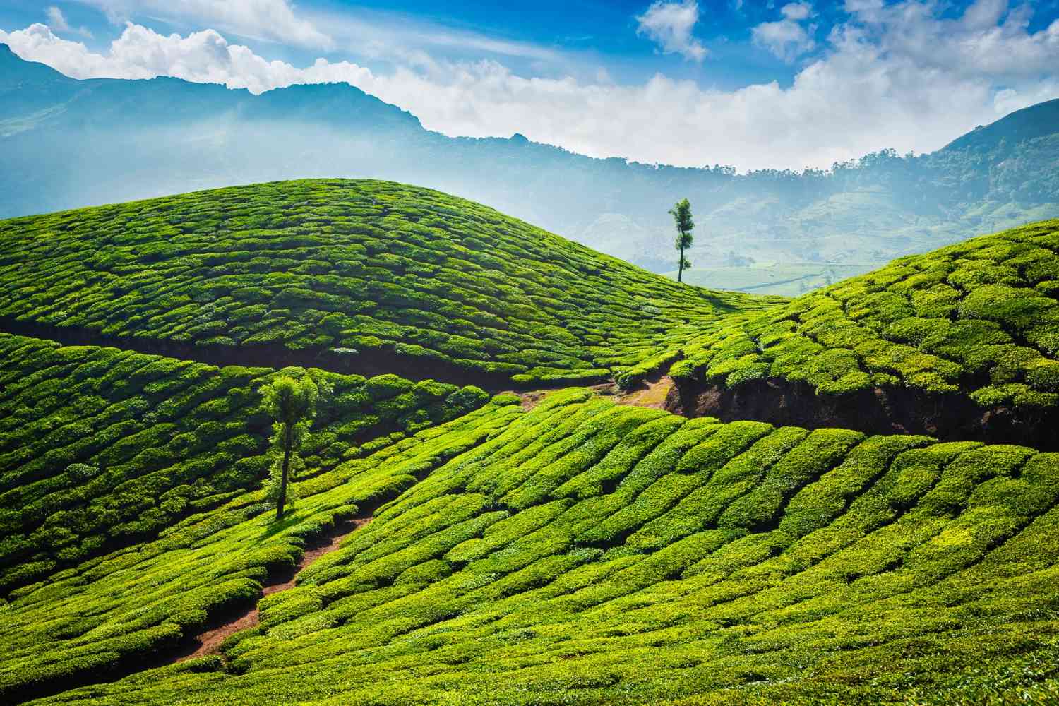 Kerala